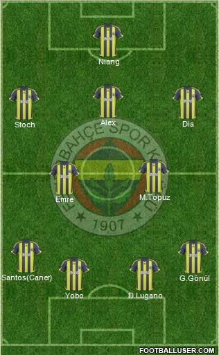 Fenerbahçe SK Formation 2010