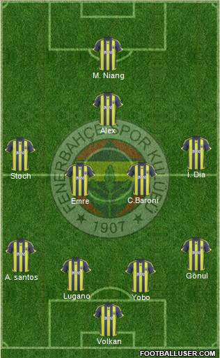 Fenerbahçe SK Formation 2010