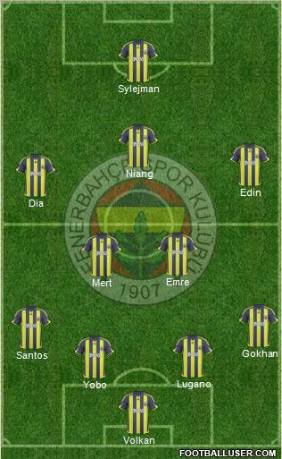 Fenerbahçe SK Formation 2010