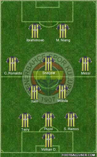 Fenerbahçe SK Formation 2010