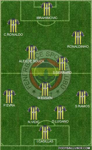 Fenerbahçe SK Formation 2010