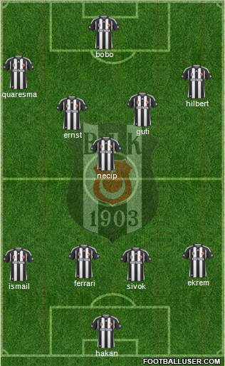 Besiktas JK Formation 2010