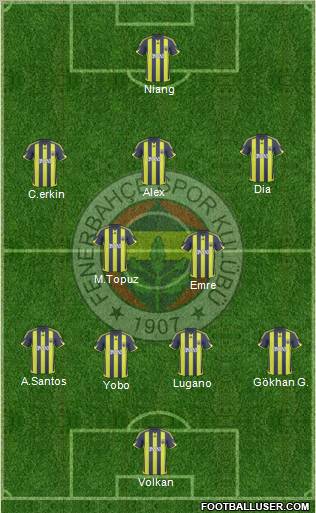 Fenerbahçe SK Formation 2010