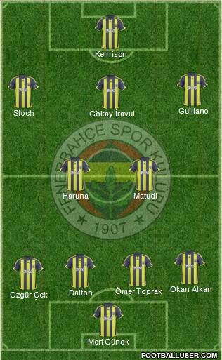 Fenerbahçe SK Formation 2010