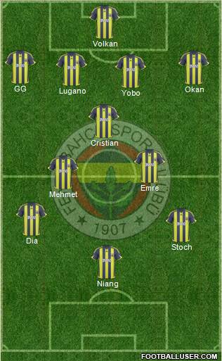 Fenerbahçe SK Formation 2010