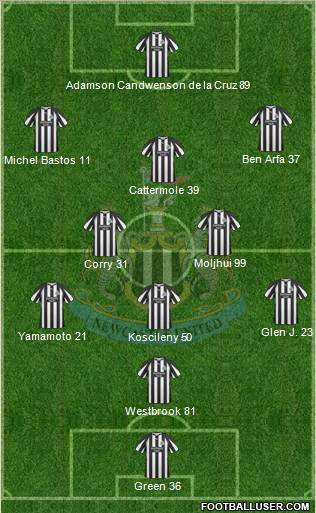 Newcastle United Formation 2010