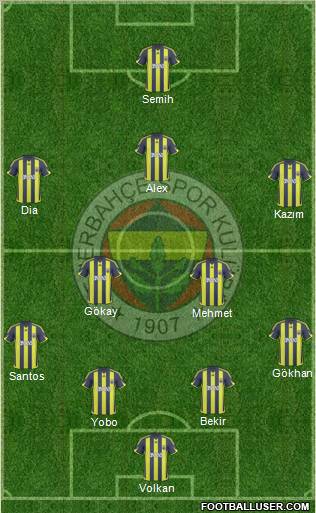 Fenerbahçe SK Formation 2010