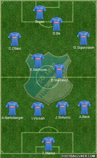 TSG 1899 Hoffenheim Formation 2010