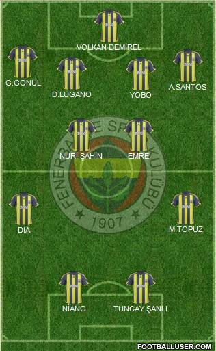 Fenerbahçe SK Formation 2010