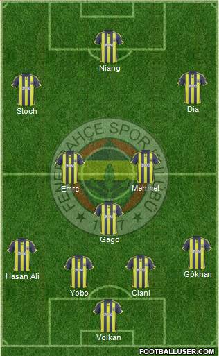 Fenerbahçe SK Formation 2010