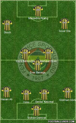 Fenerbahçe SK Formation 2010