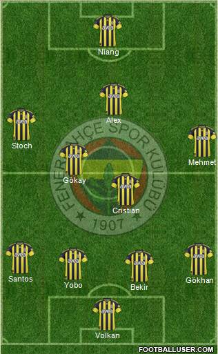 Fenerbahçe SK Formation 2010