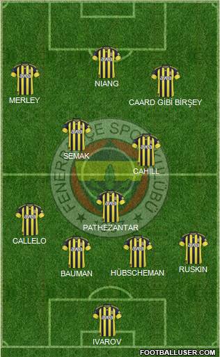 Fenerbahçe SK Formation 2010