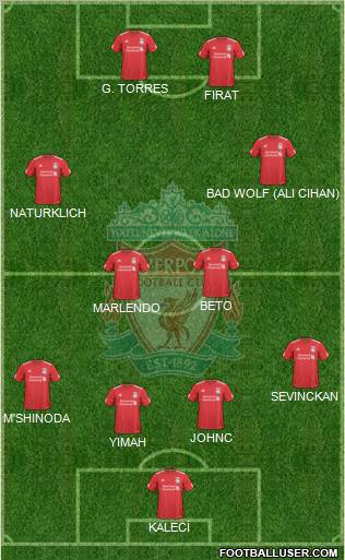 Liverpool Formation 2010