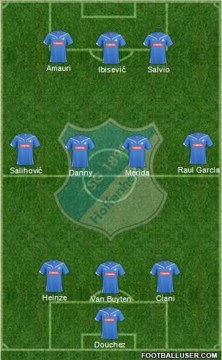 TSG 1899 Hoffenheim Formation 2010