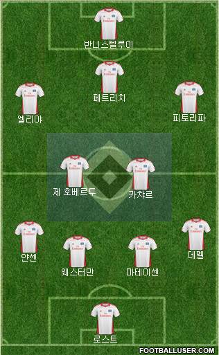 Hamburger SV Formation 2010