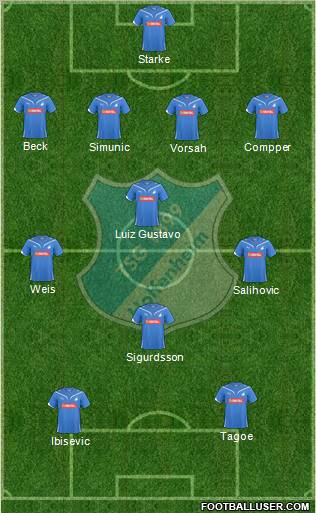 TSG 1899 Hoffenheim Formation 2011