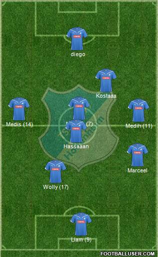 TSG 1899 Hoffenheim Formation 2011