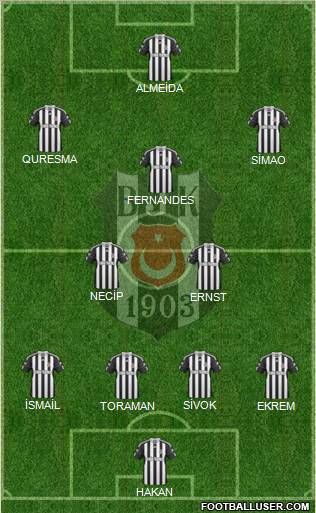 Besiktas JK Formation 2011