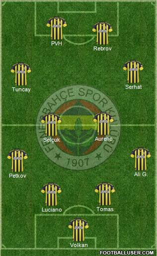 Fenerbahçe SK Formation 2011