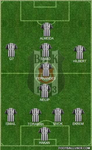 Besiktas JK Formation 2011