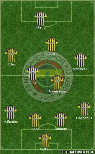 Fenerbahçe SK Formation 2011