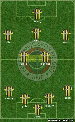 Fenerbahçe SK Formation 2011