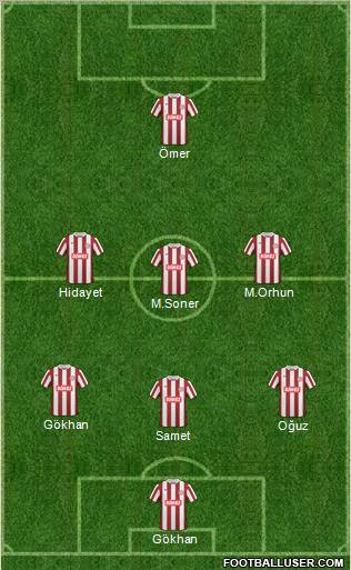 Tokatspor Formation 2011