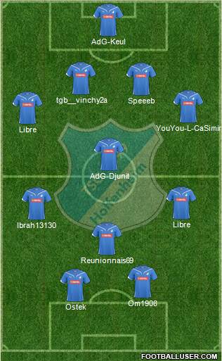 TSG 1899 Hoffenheim Formation 2011