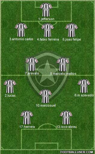 Botafogo FR Formation 2011