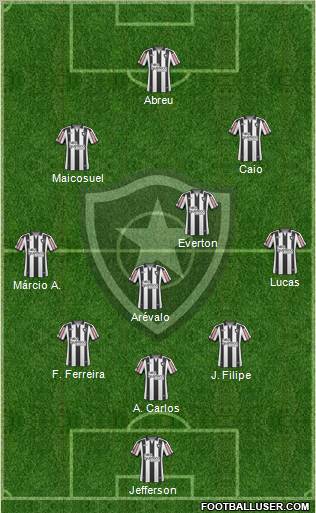 Botafogo FR Formation 2011