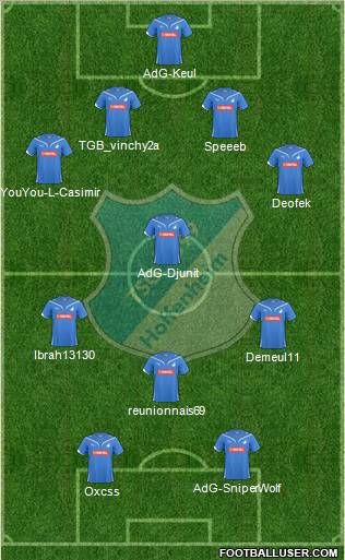 TSG 1899 Hoffenheim Formation 2011