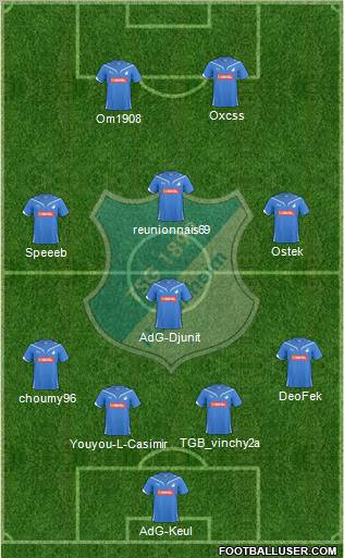 TSG 1899 Hoffenheim Formation 2011