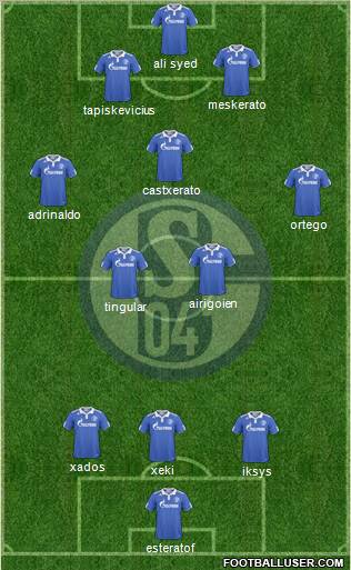 FC Schalke 04 Formation 2011