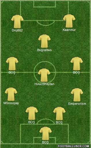 Tokatspor Formation 2011