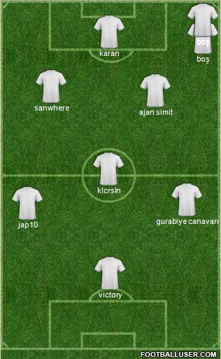 Tokatspor Formation 2011