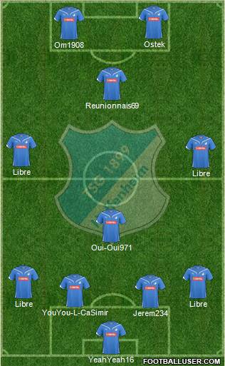 TSG 1899 Hoffenheim Formation 2011