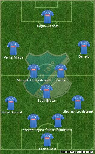 TSG 1899 Hoffenheim Formation 2011