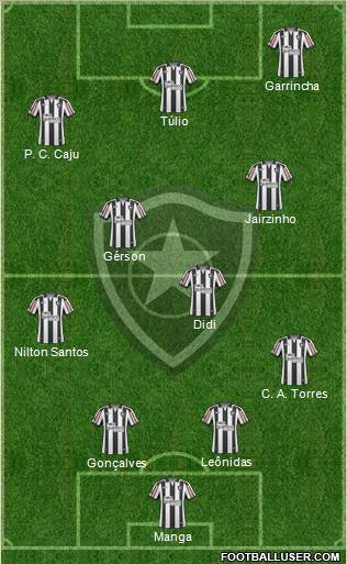 Botafogo FR Formation 2011