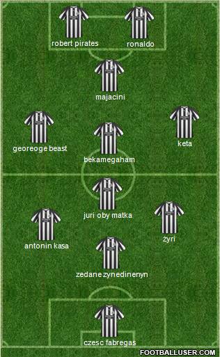 Newcastle United Formation 2011