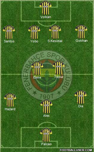 Fenerbahçe SK Formation 2011