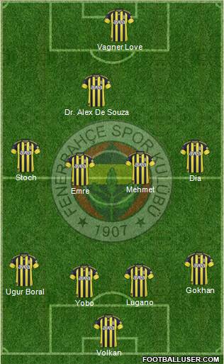 Fenerbahçe SK Formation 2011