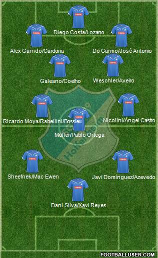 TSG 1899 Hoffenheim Formation 2011