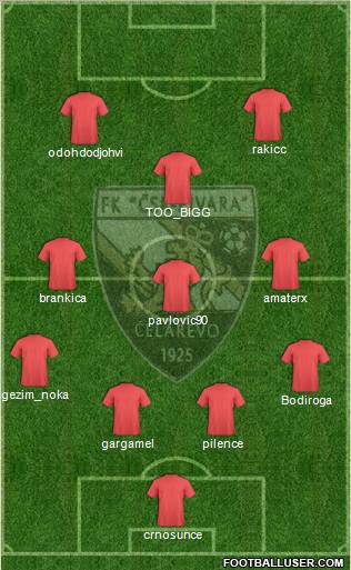 CSK Pivara Celarevo Formation 2011