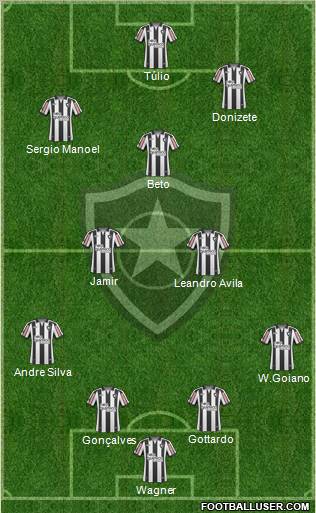 Botafogo FR Formation 2011