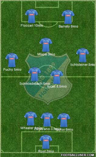 TSG 1899 Hoffenheim Formation 2011