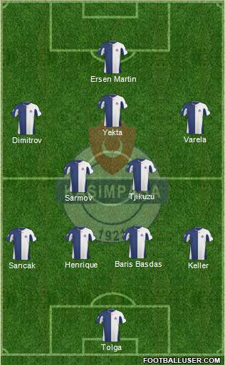 Kasimpasa Formation 2011