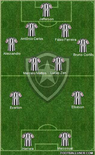 Botafogo FR Formation 2011