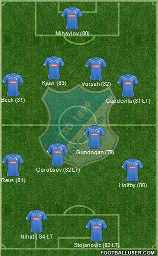 TSG 1899 Hoffenheim Formation 2011