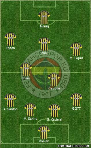 Fenerbahçe SK Formation 2011